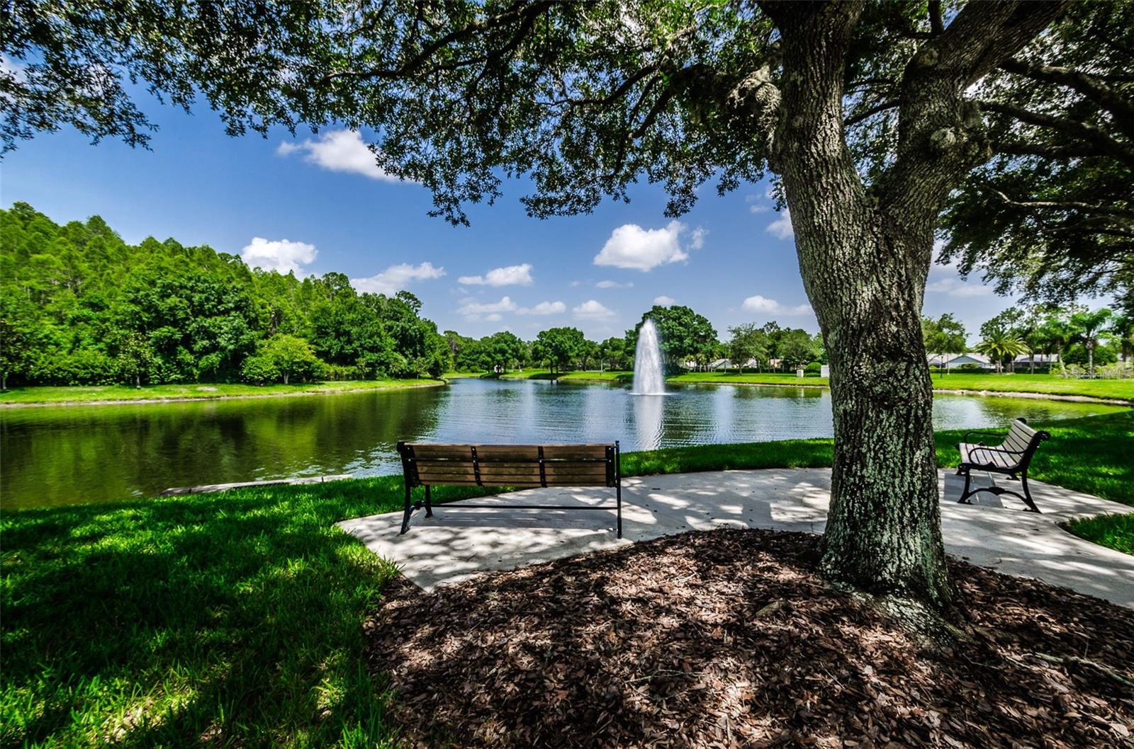 Tranquil view and sitting area at the community park