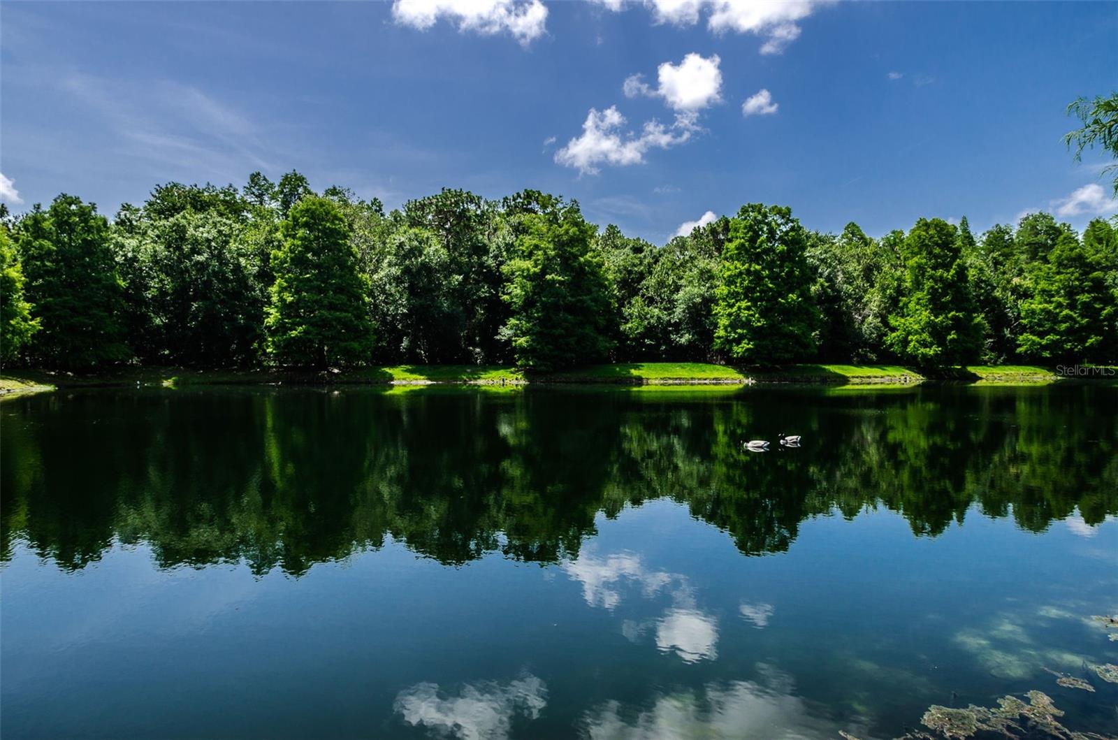 Ridgemoor Community Park views