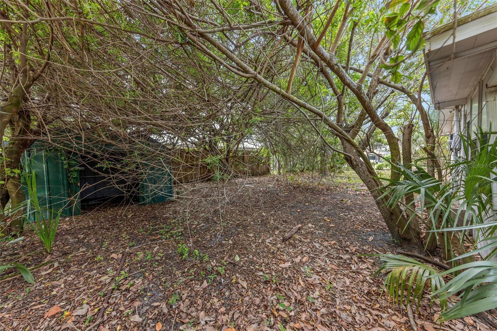 Rear Yard - Reverse View