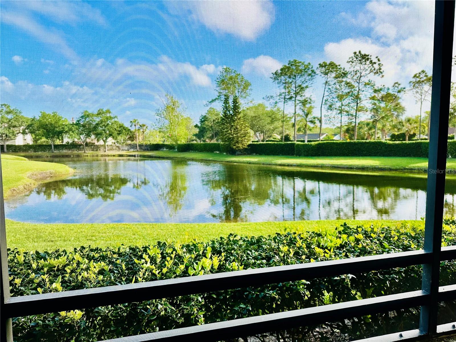 TB8495353