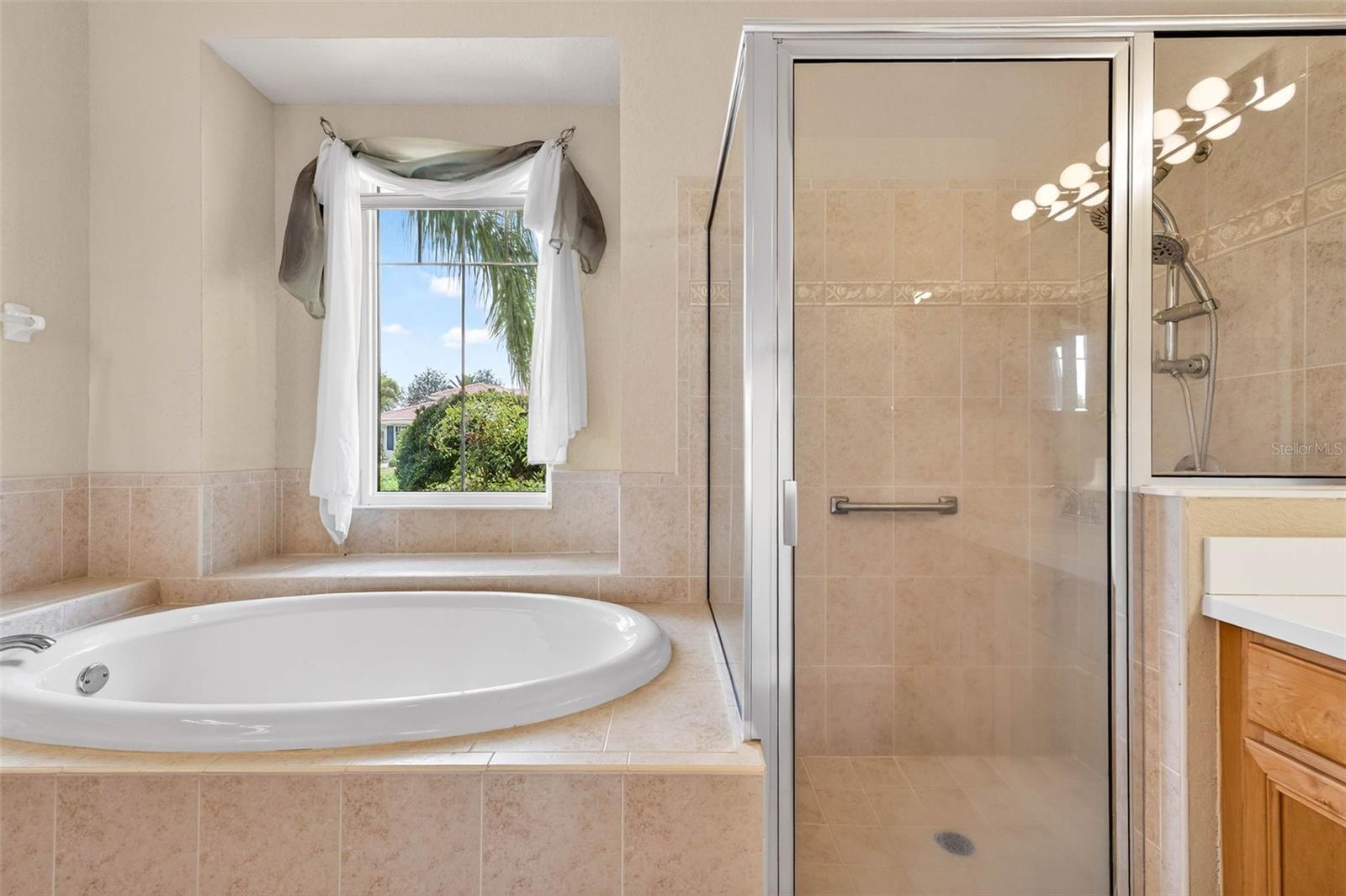 Soaker Tub & Separate Shower