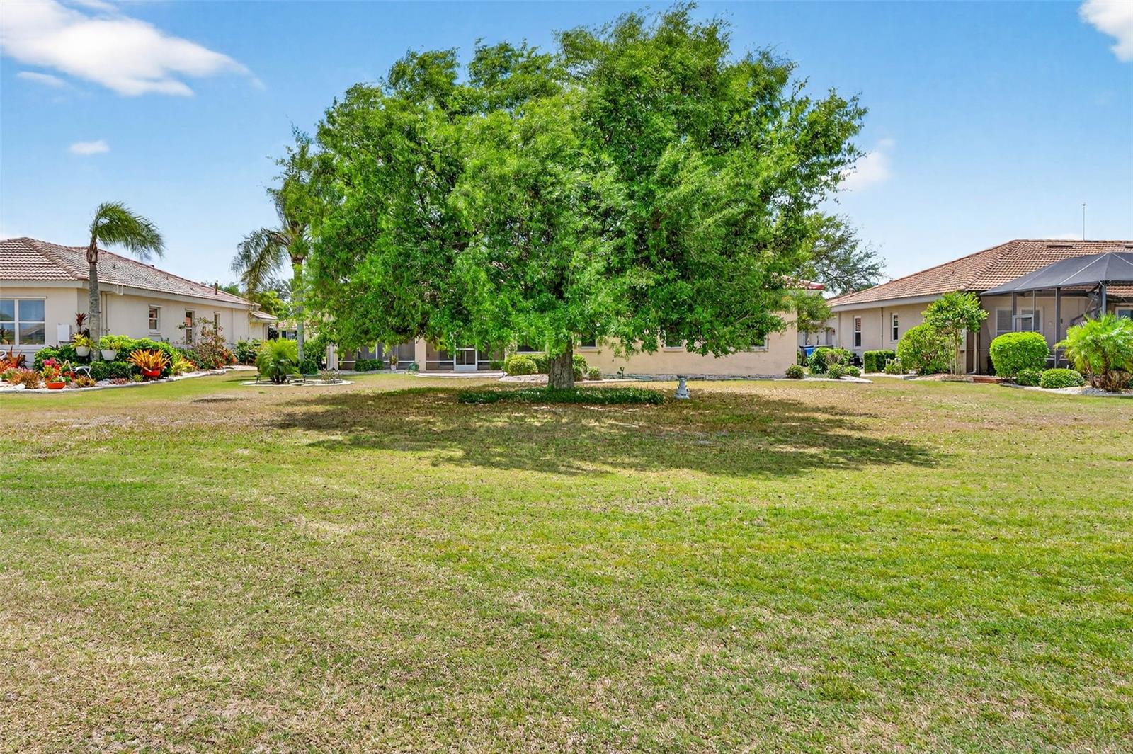 Large tree in back of home to help shield