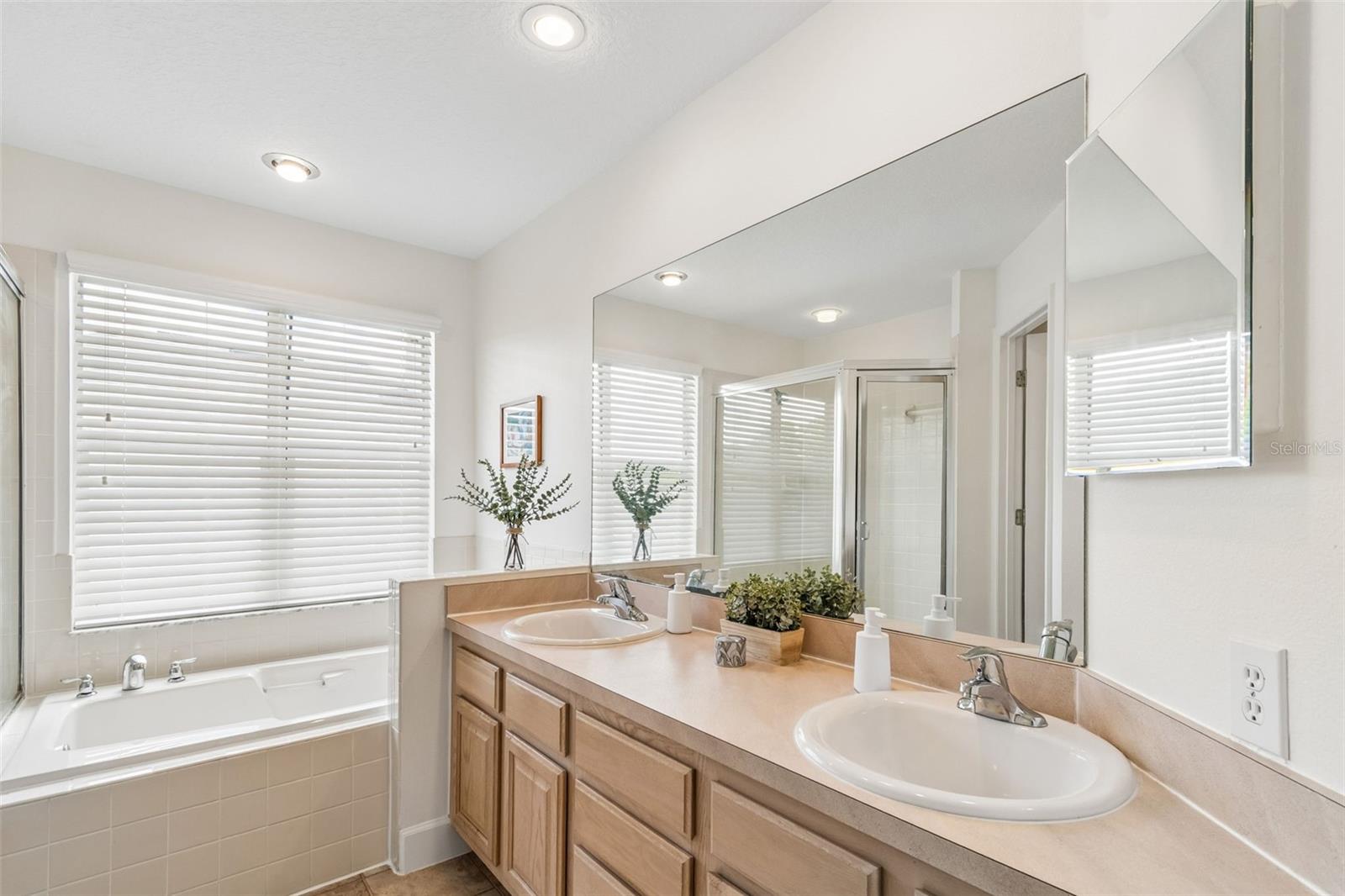 Primary Bathroom with lots of light