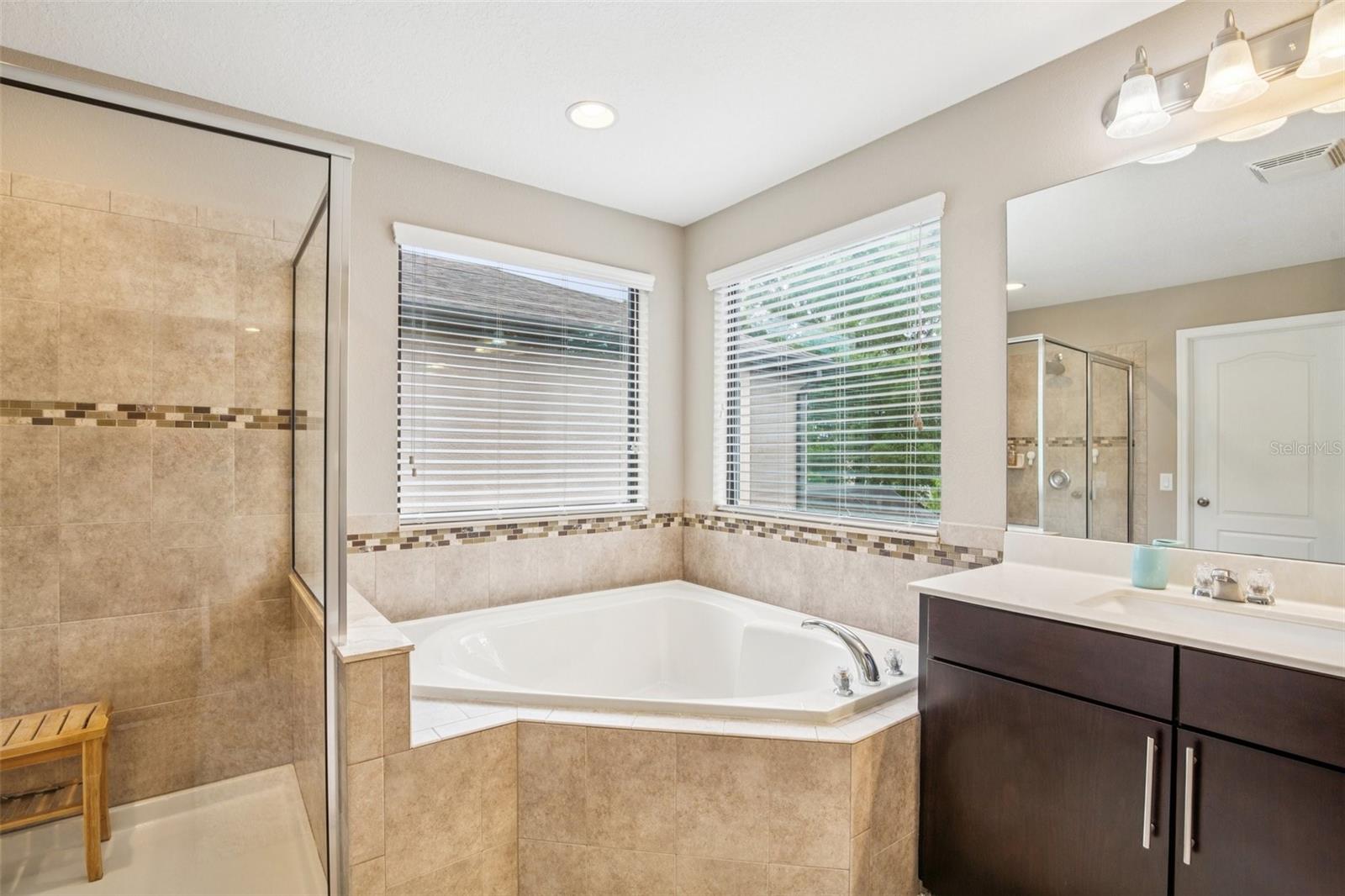 PRIMARY BATHROOM HAS GARDEN TUB AND WALK-IN SHOWER FOR ALL THE LUXURIES!