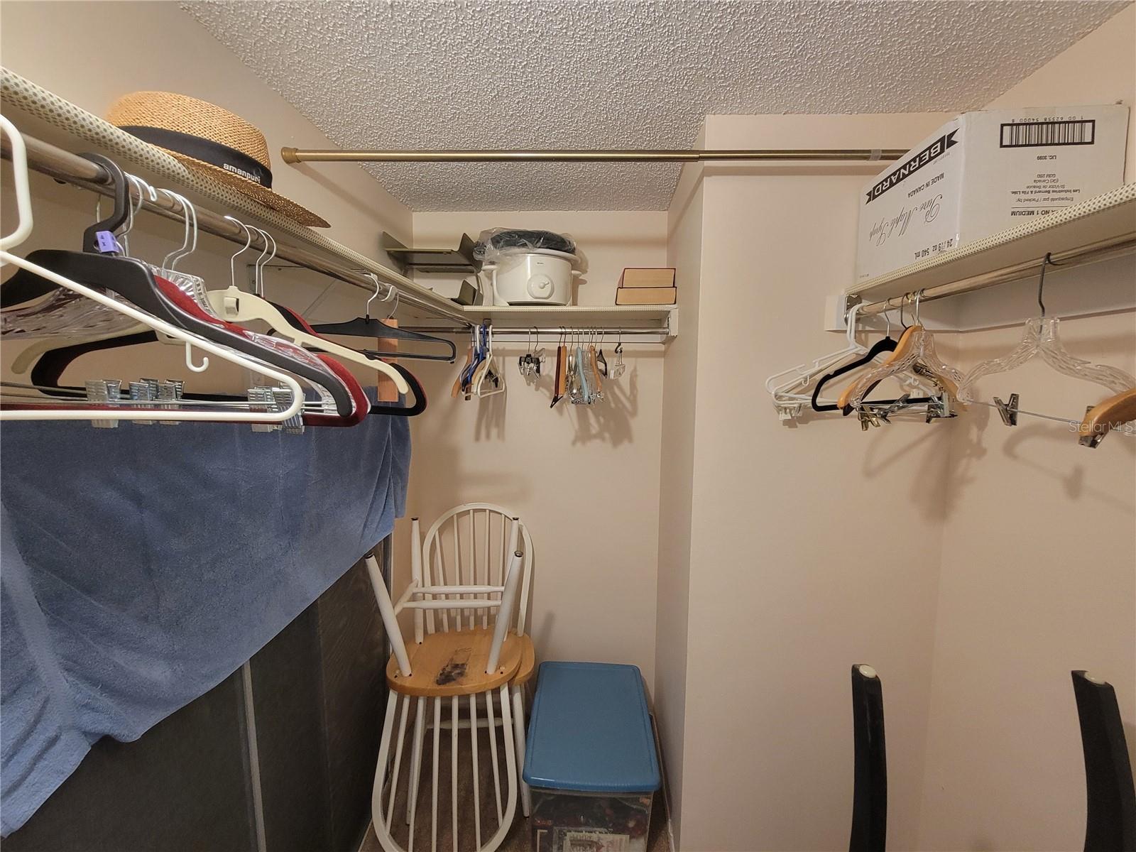 Walk-in closet in master bedroom