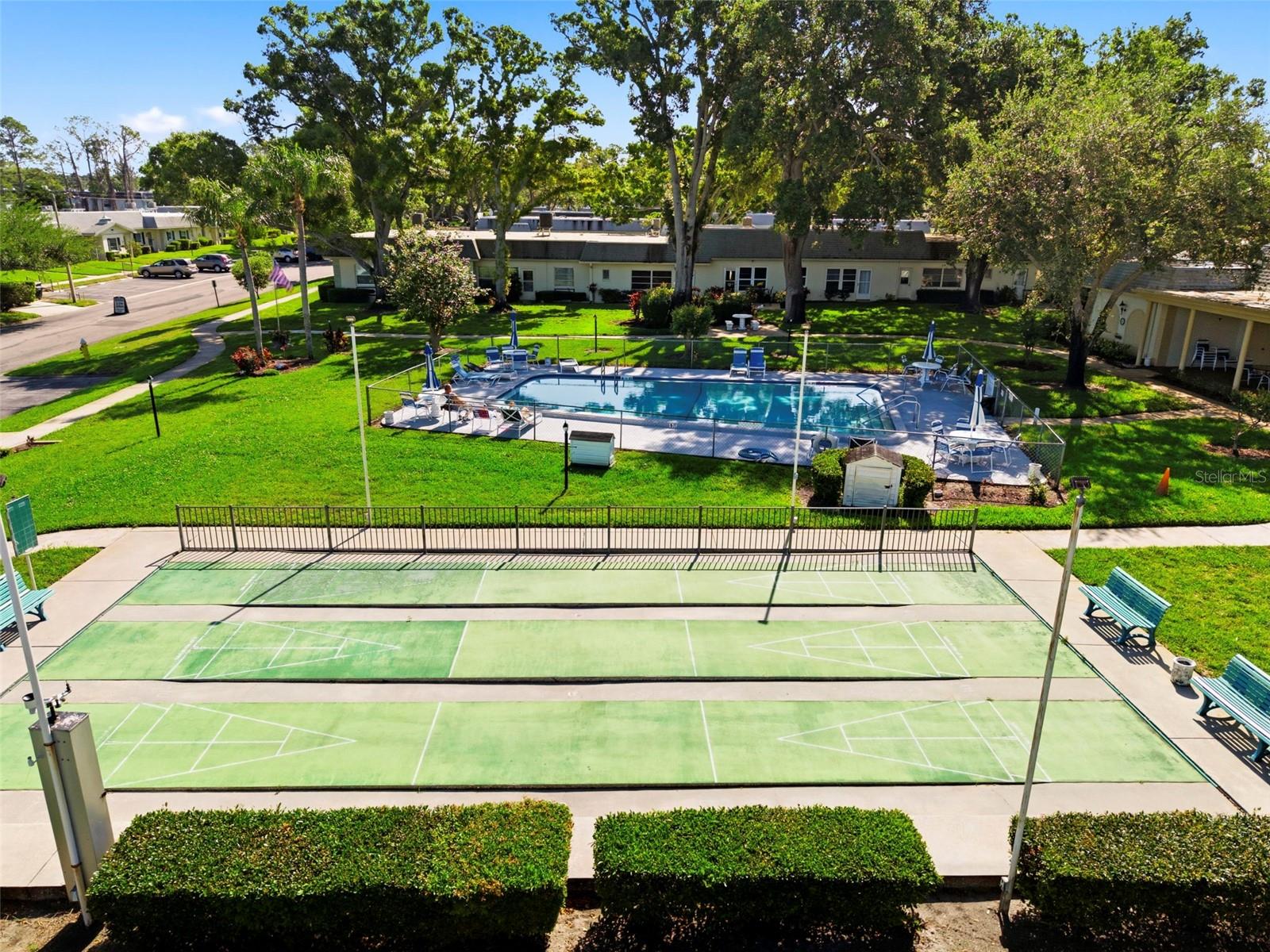 Shuffleboard Court