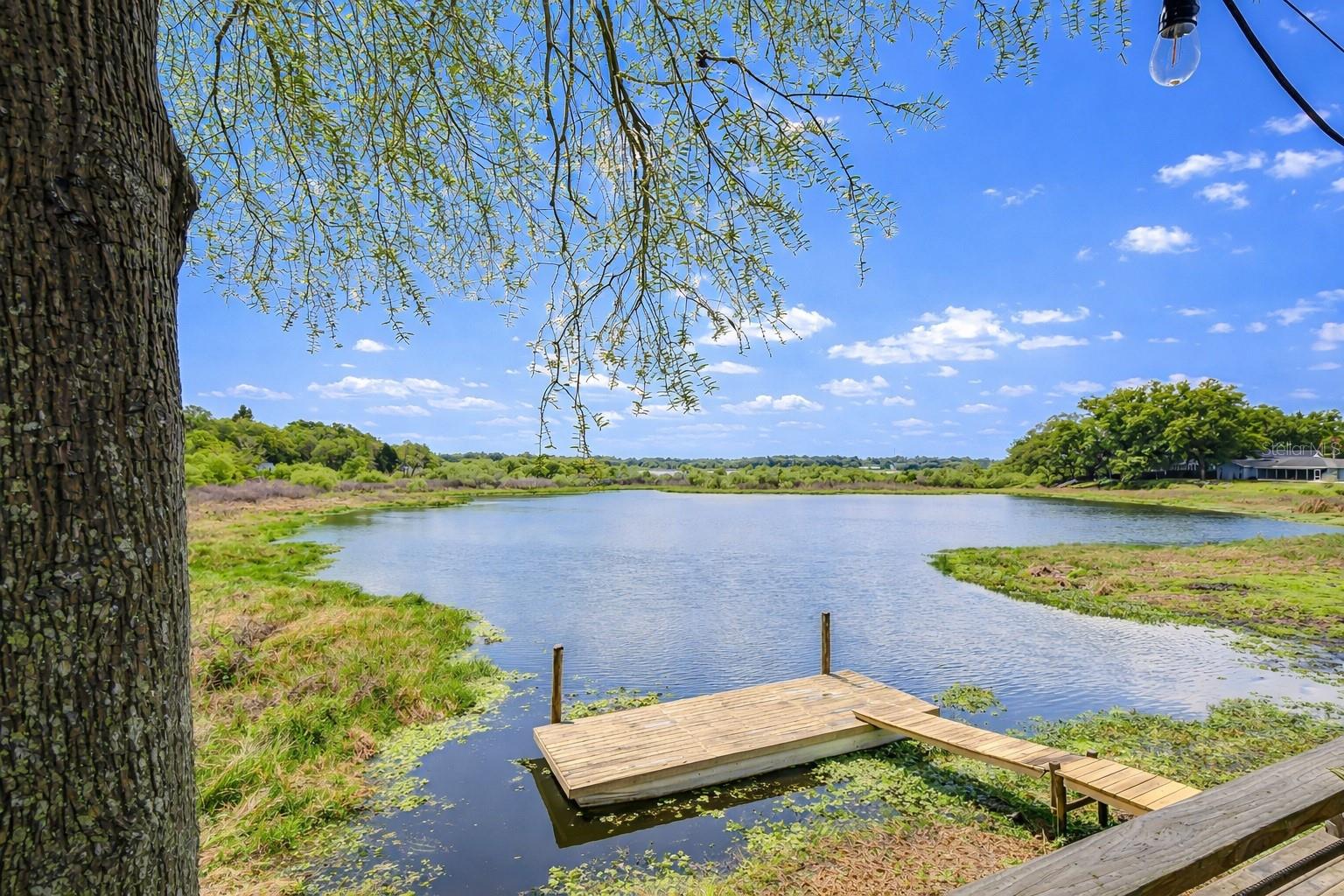 Private Dock for Fishing & Relaxing