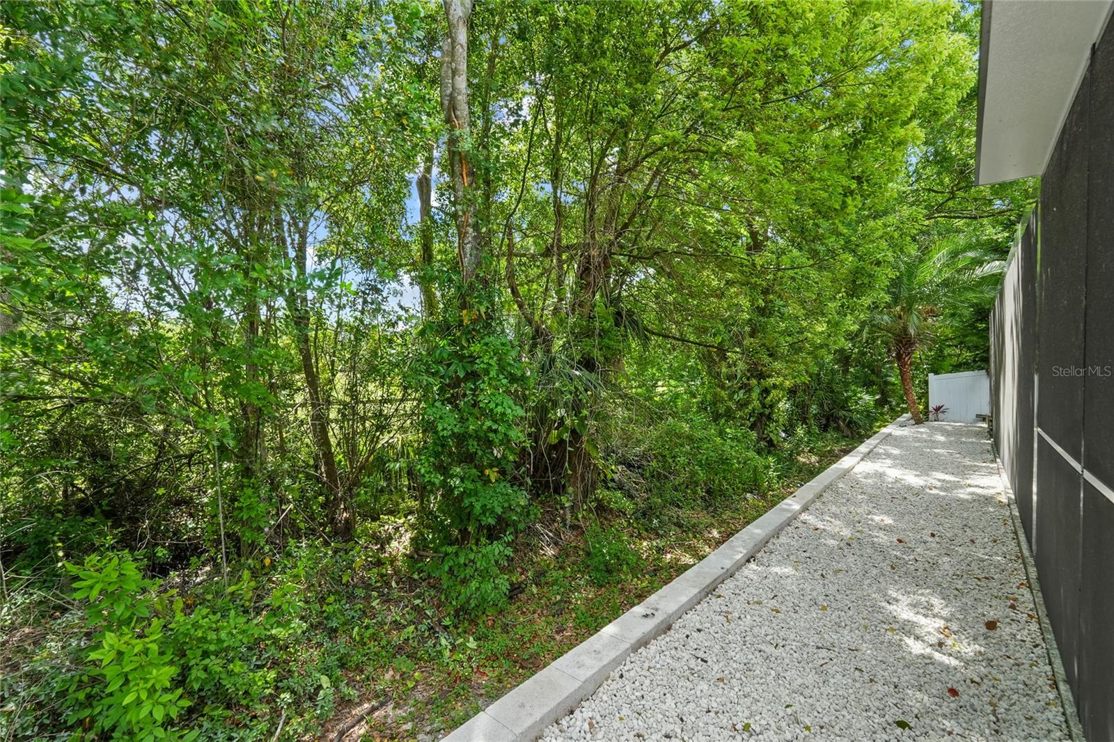 Just nature in your backyard!!!