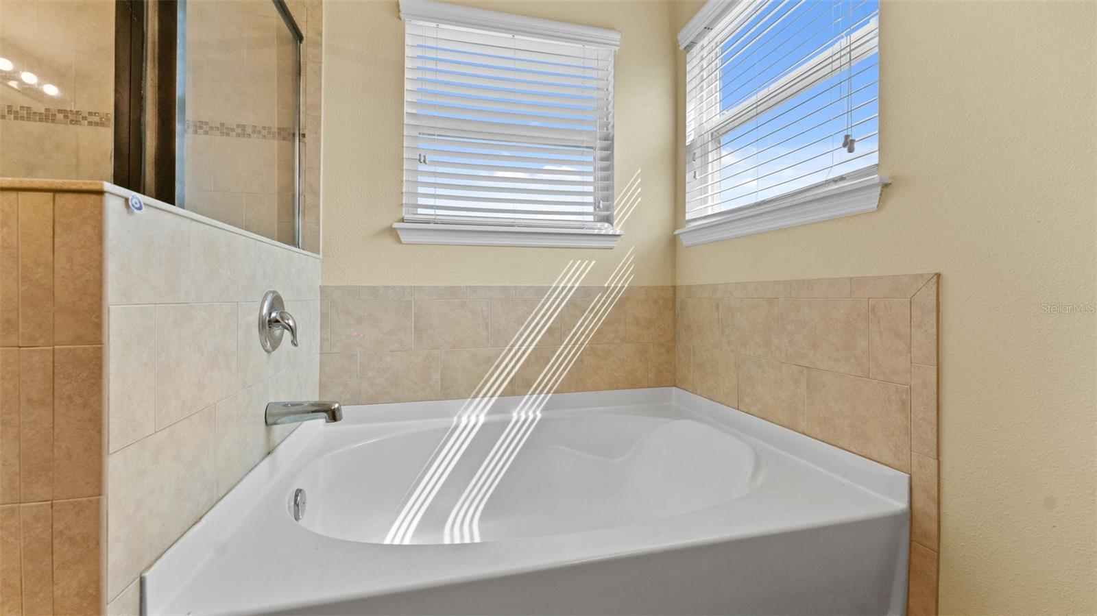 Primary Soaking Tub