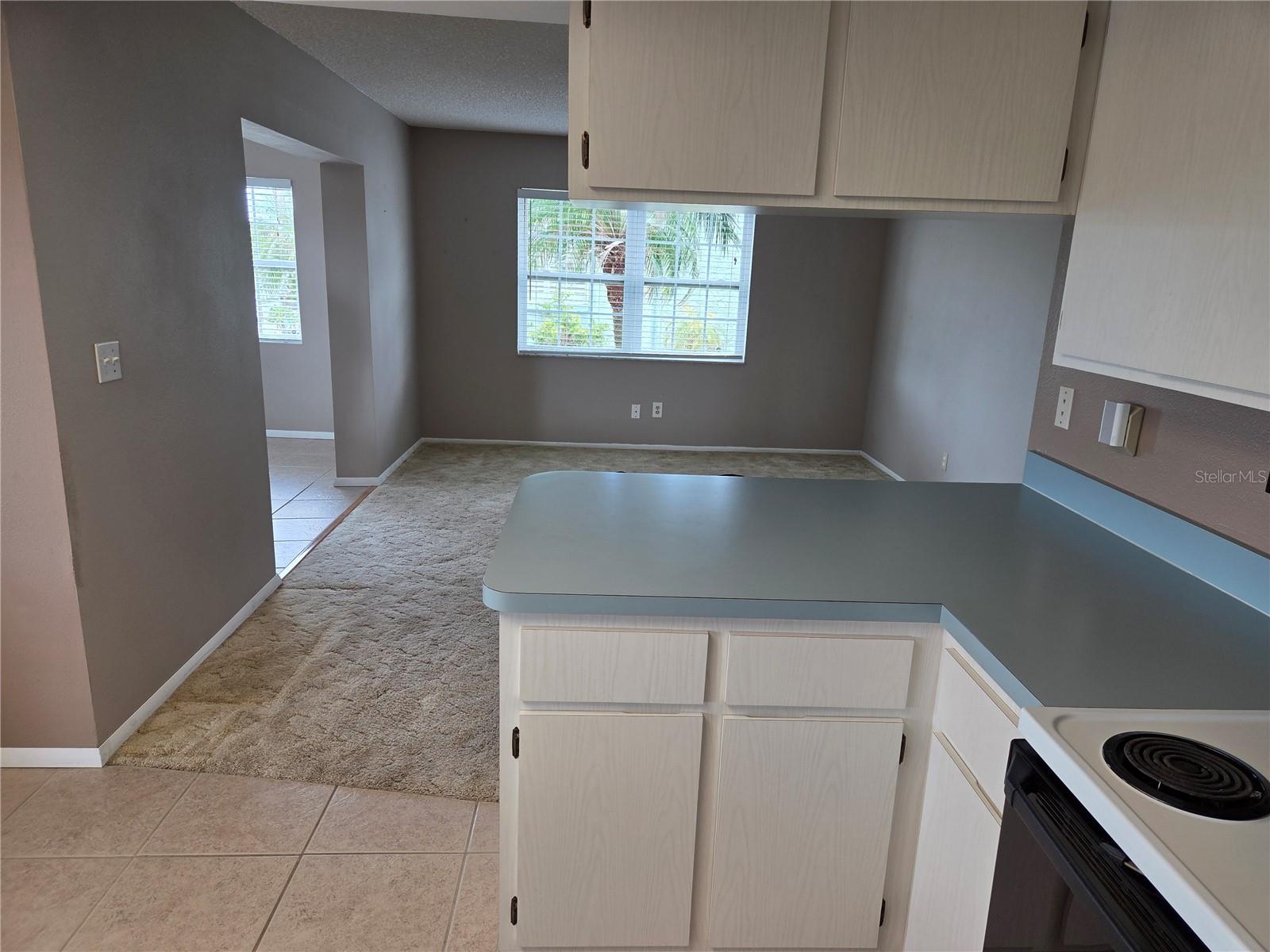 Kitchen Looking into Family Room