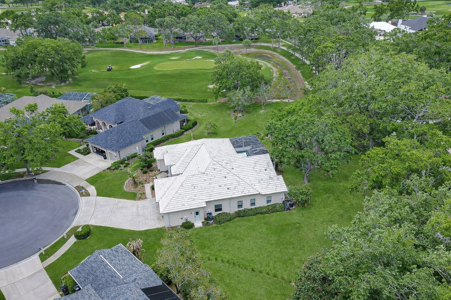 Aerial view showcasing the oversized lot and surrounding greenery
