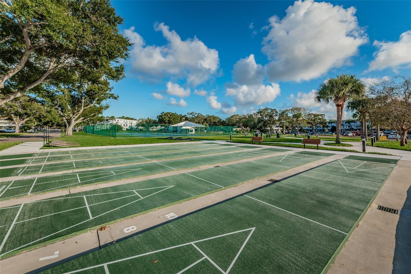 SHUFFLE, SHUFFLE, SHUFFLEBOARD!
