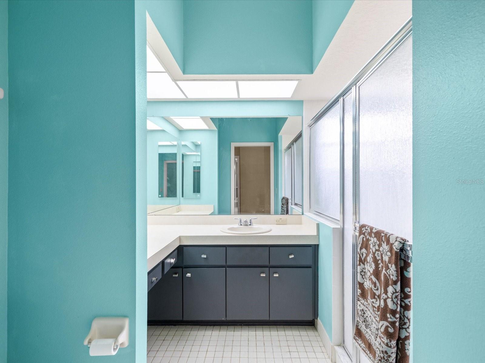 In-law suite bathroom