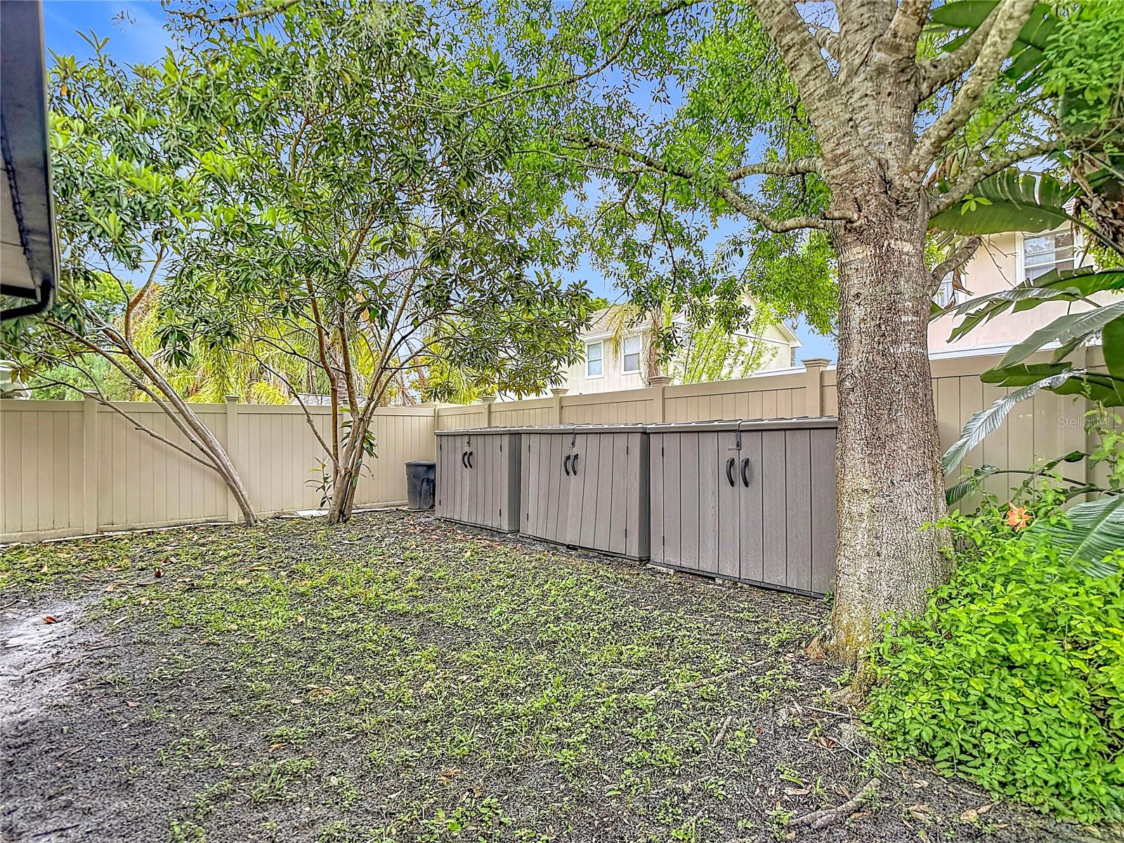 Backyard view