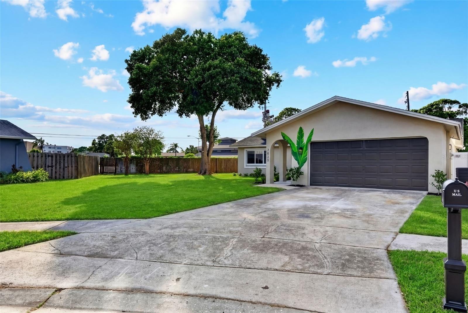 Grass has been virtually enhanced.