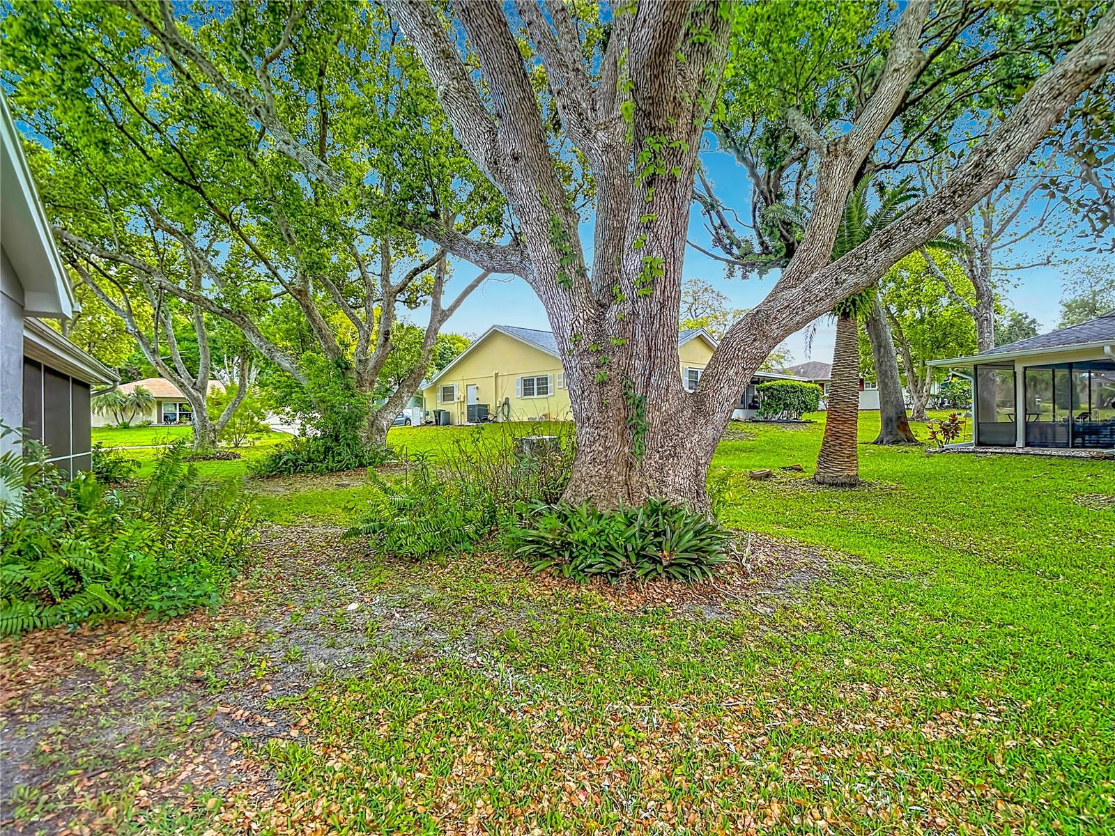 Park-like back yard views.
