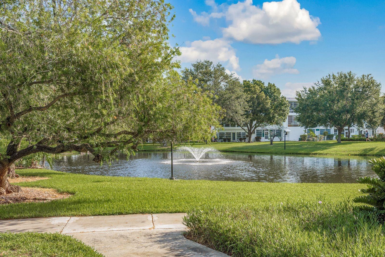 Community Pond