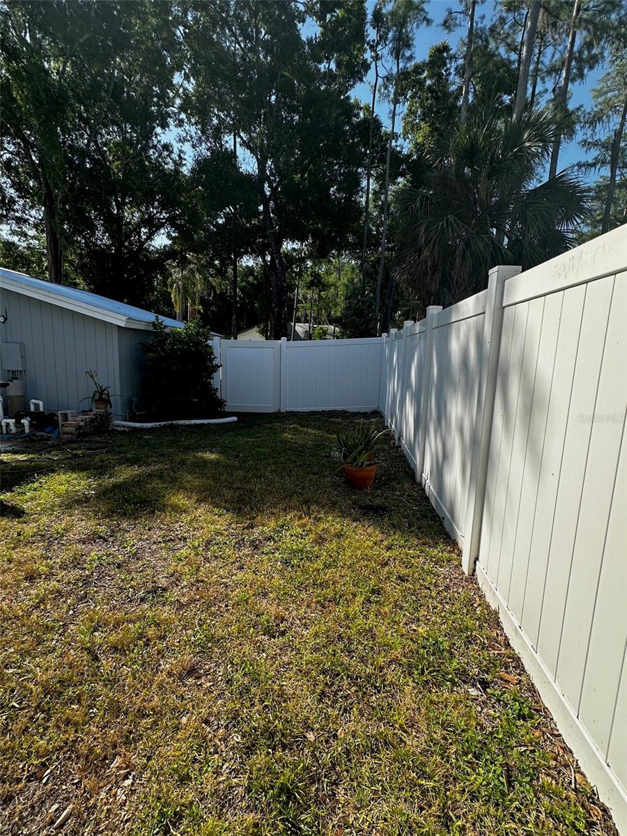 Backyard