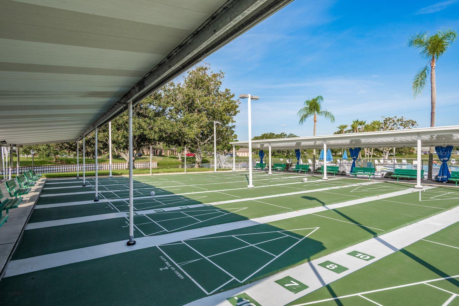 Shuffleboard