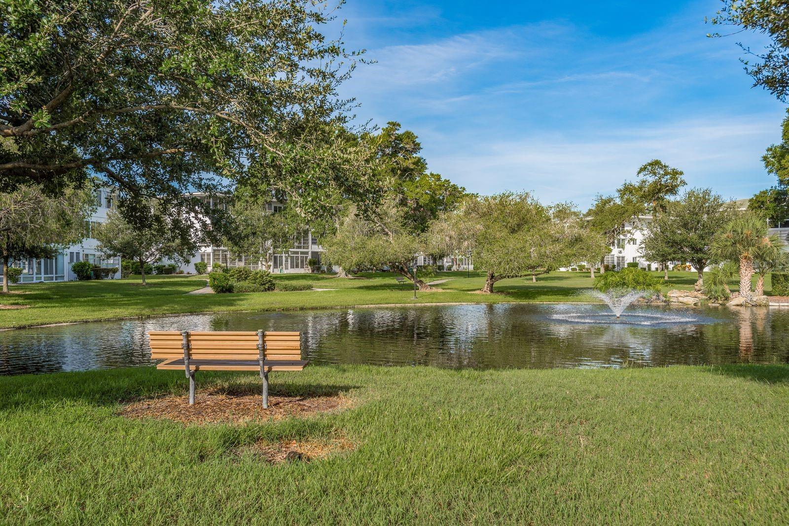 Community Pond