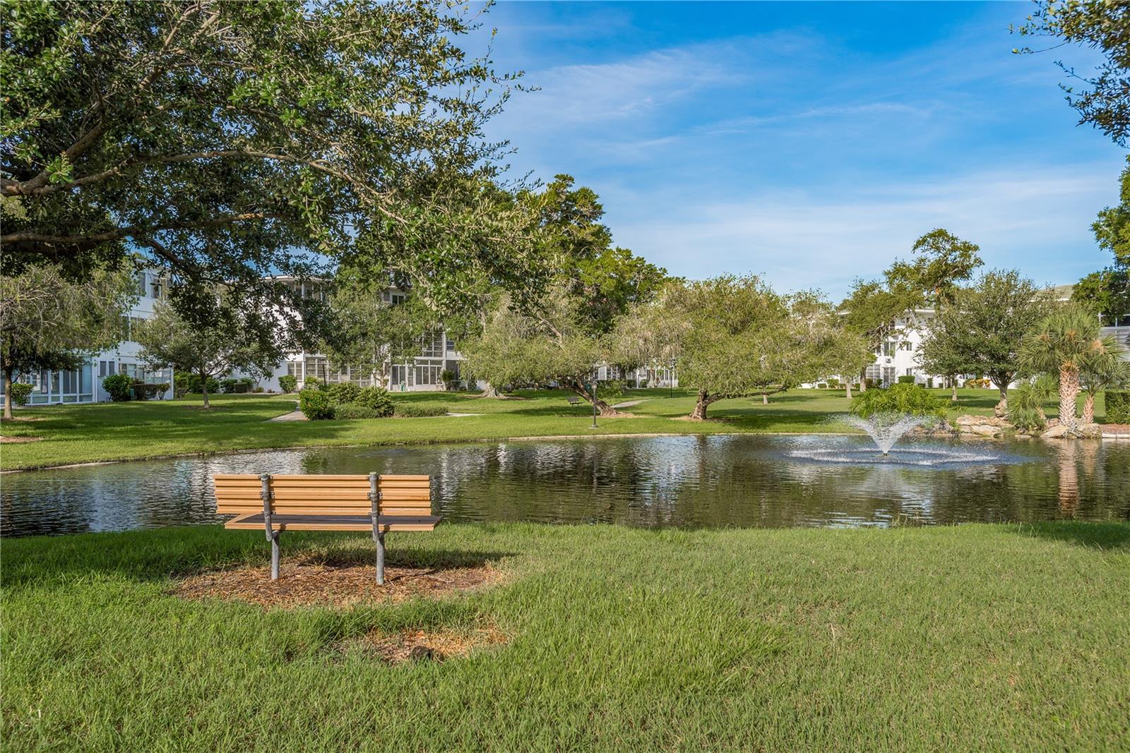 Community Pond