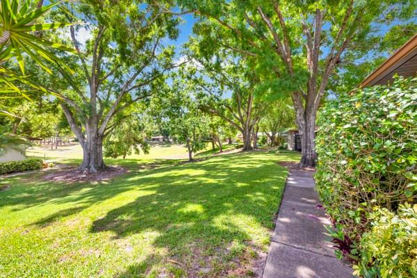 VIEW OF SIDE ENTRANCE