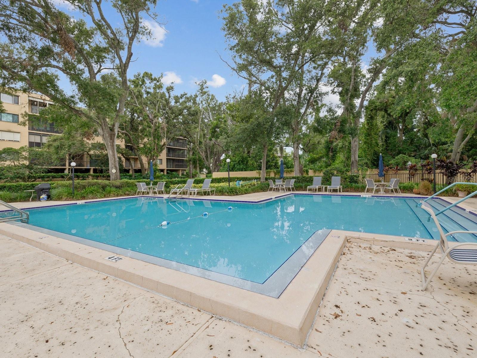 Large refreshing pool