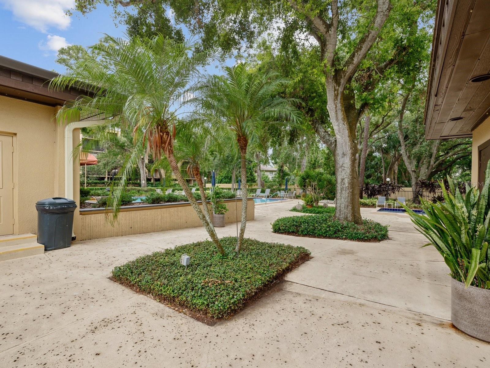 Pool deck and baths to the left
