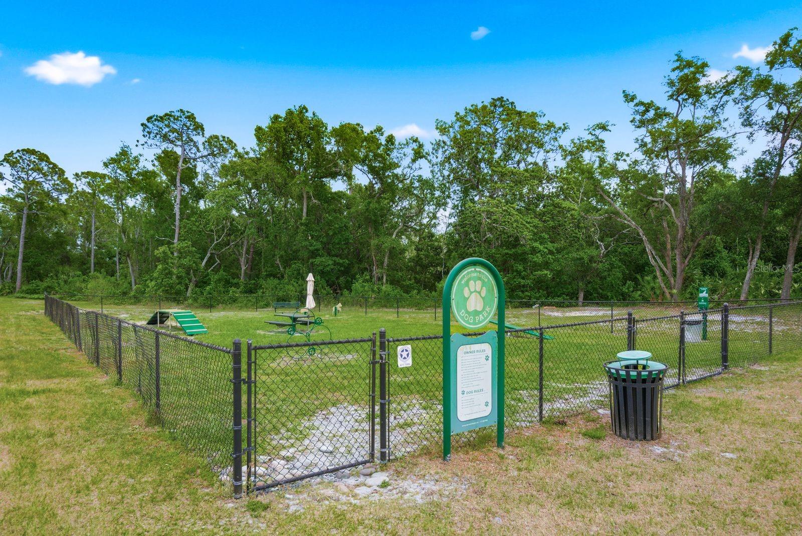 Dog Park