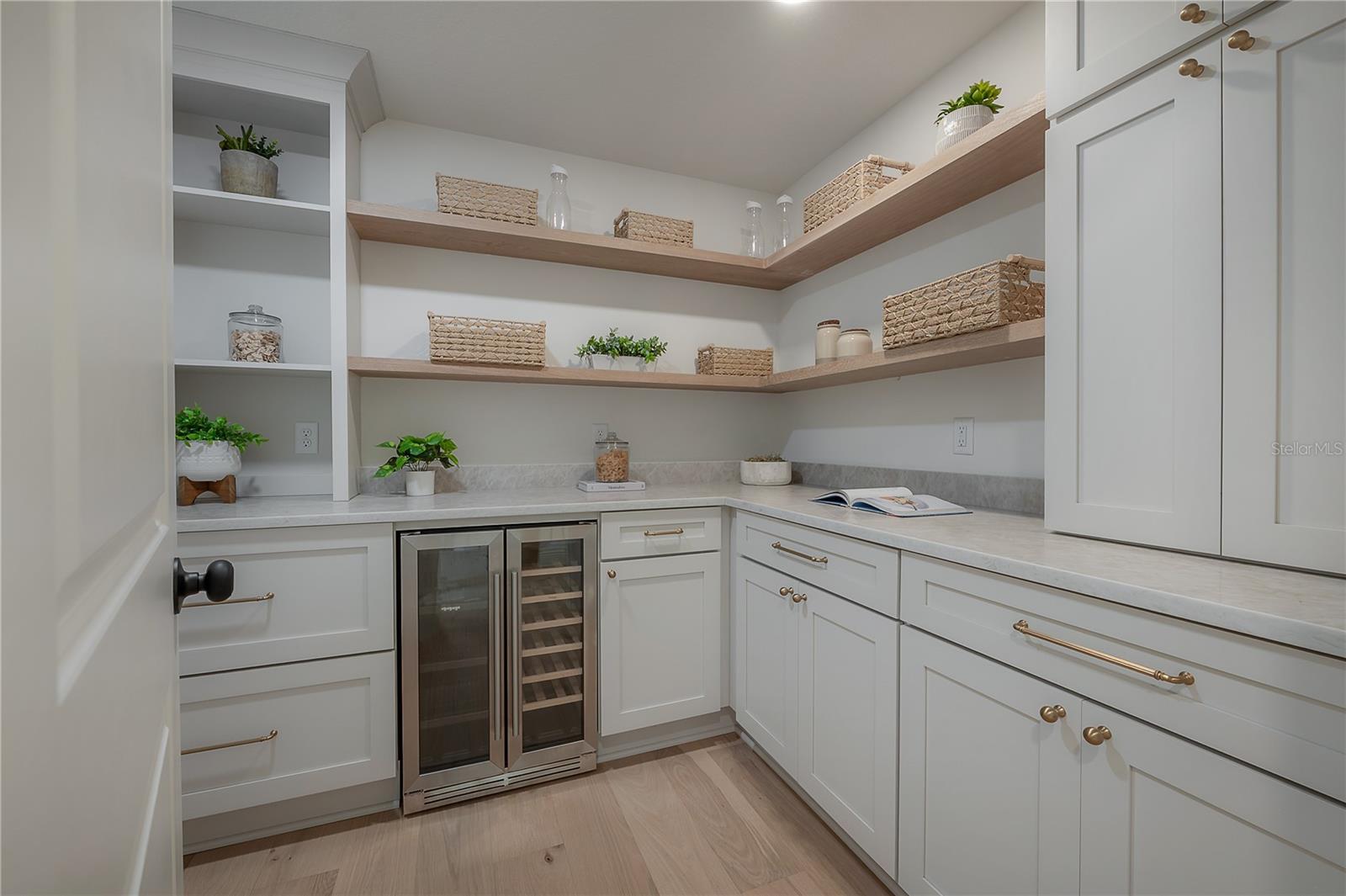 Walk-in Pantry/Storage Room