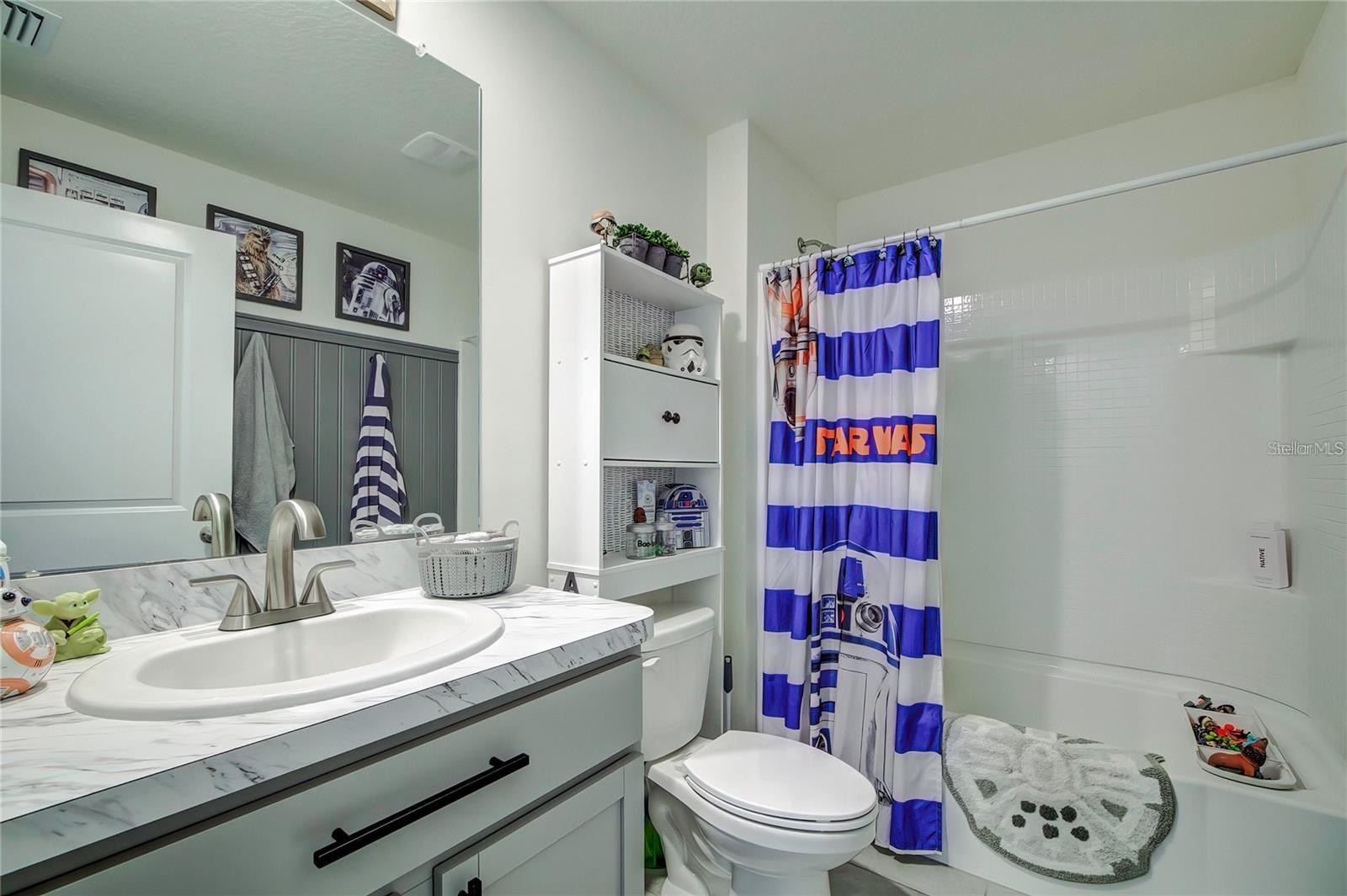 Guest bathroom