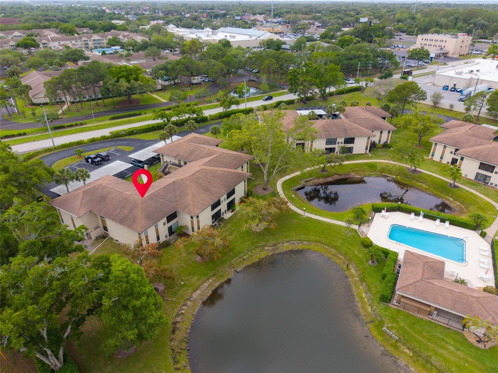 Peaceful pond & pool views~