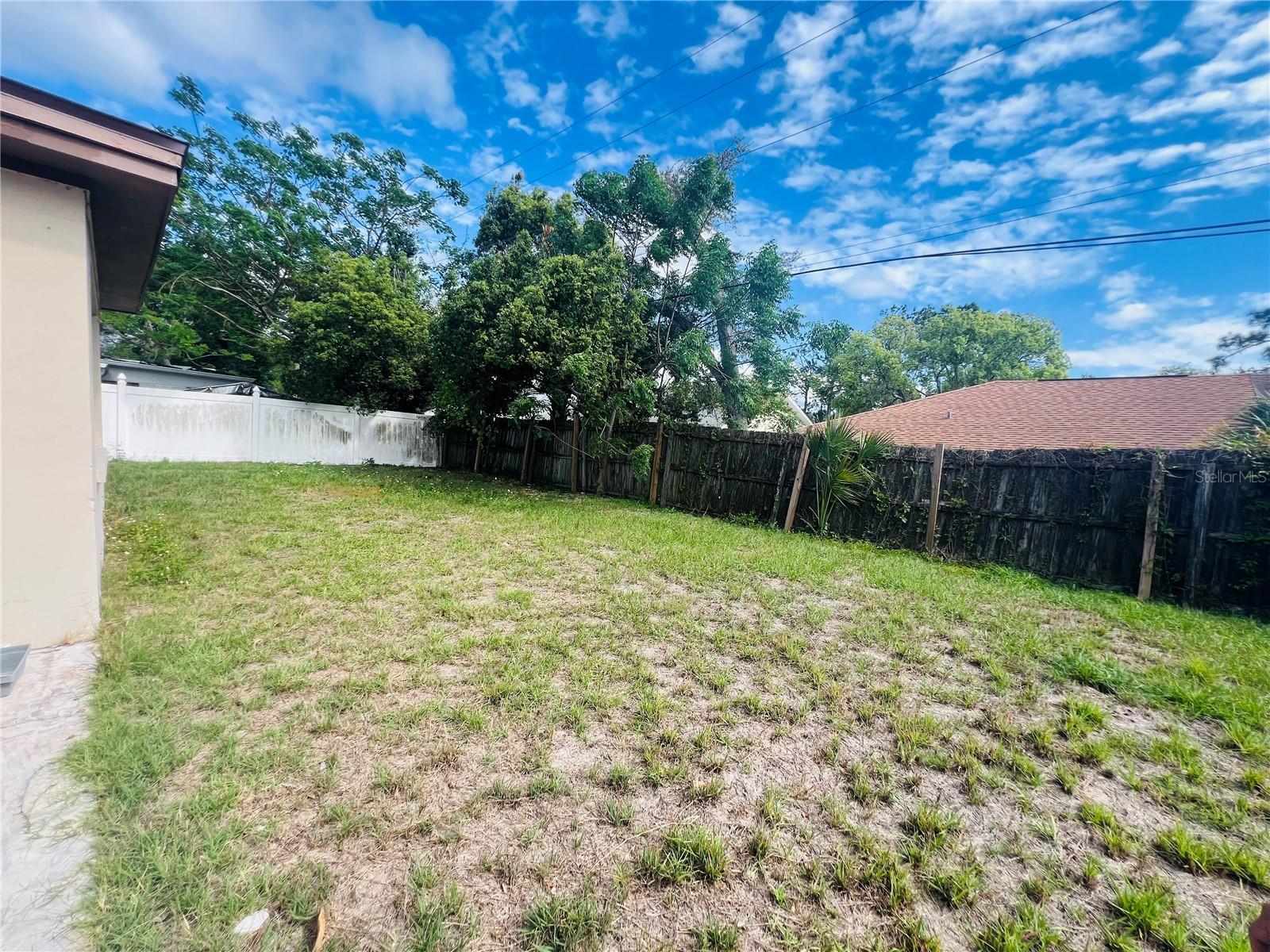 Back yard