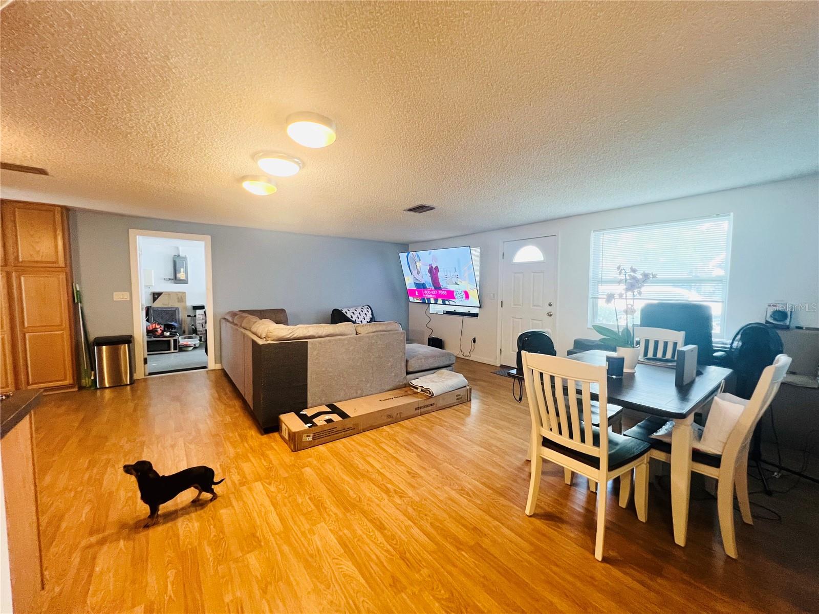 View from hall of main living area