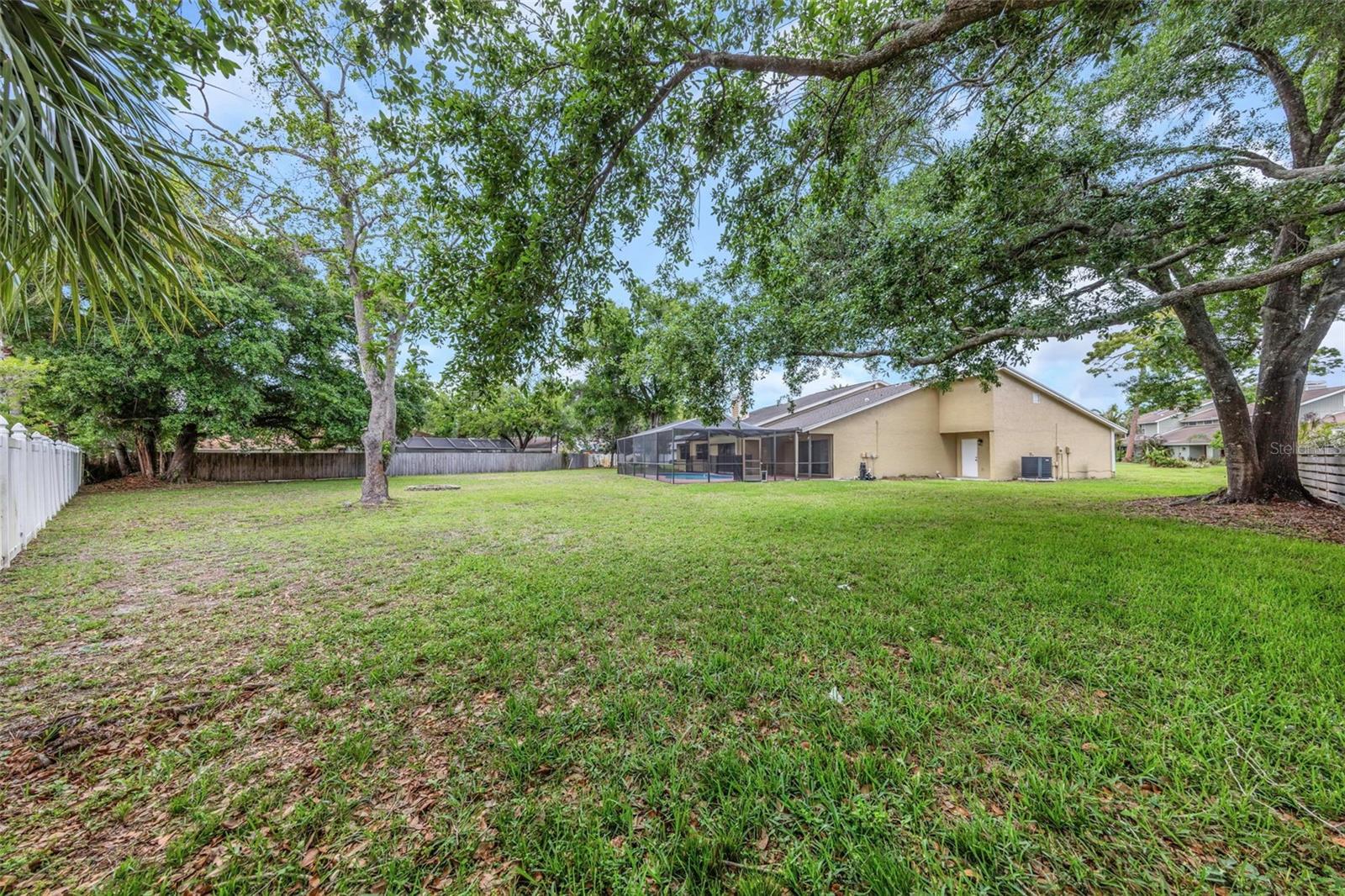 Rear Yard