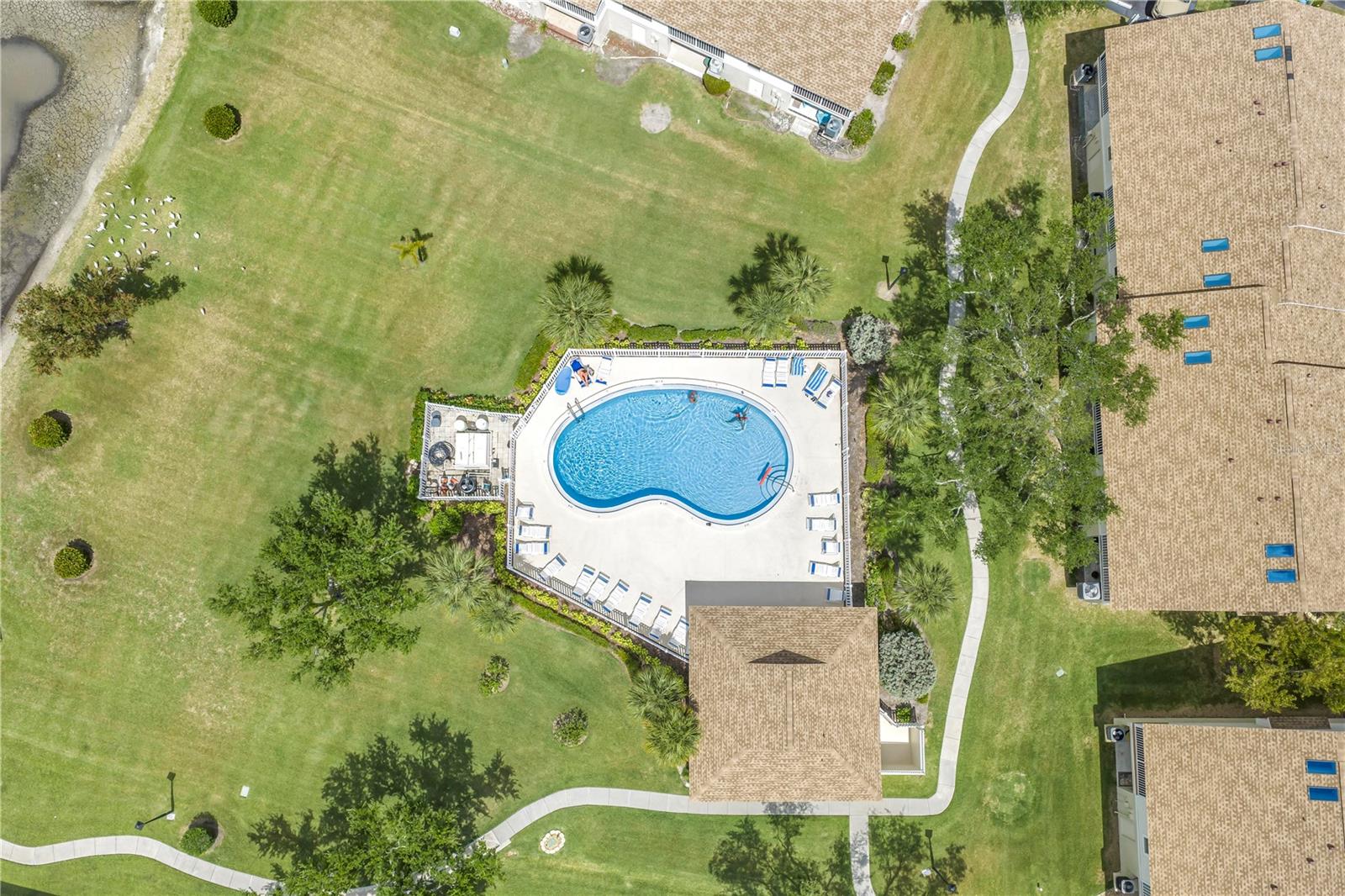 Community pool