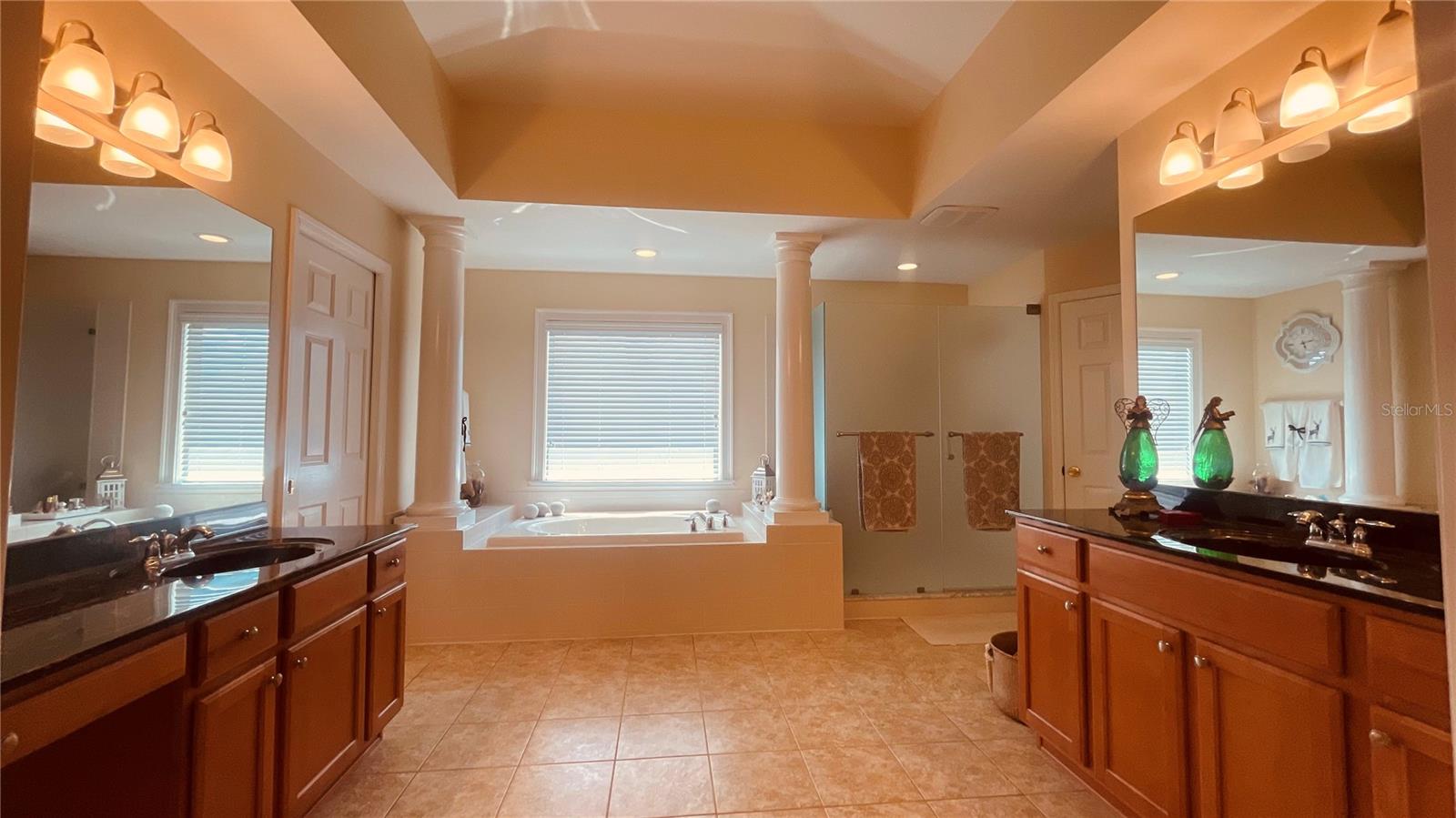 Master bathroom