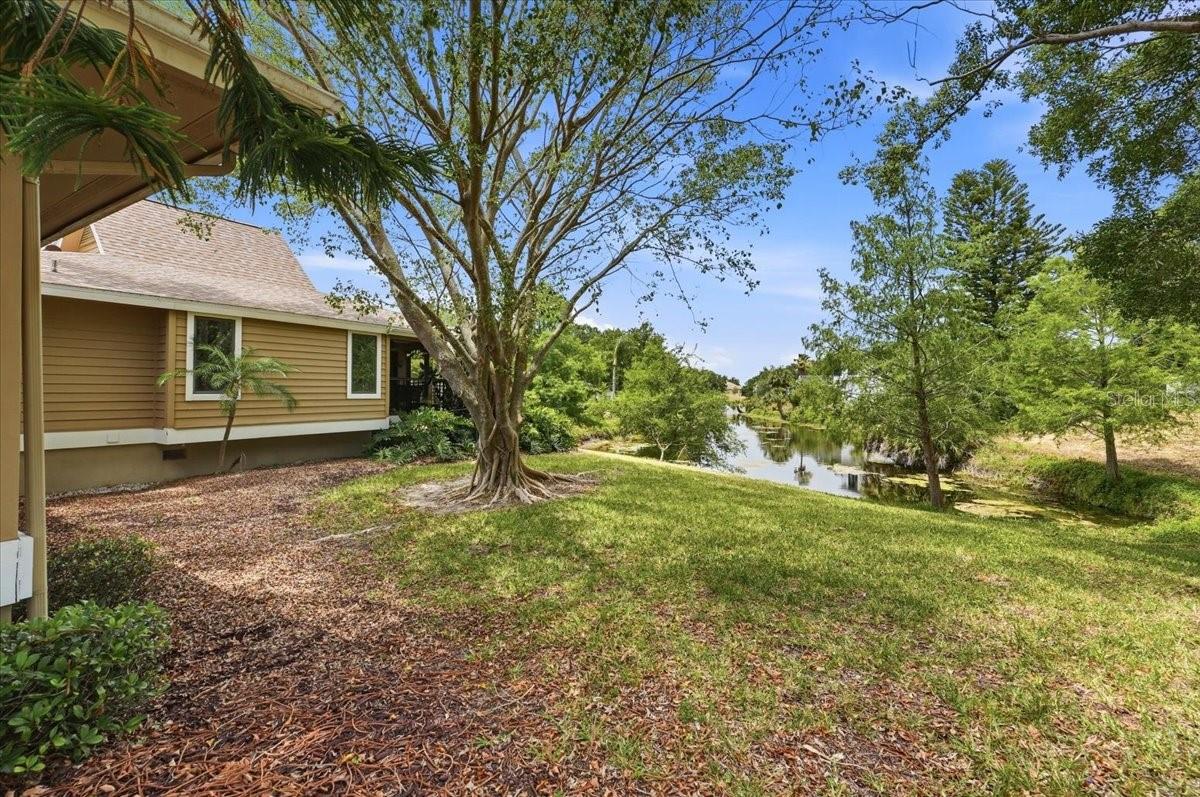 Backyard with pond view