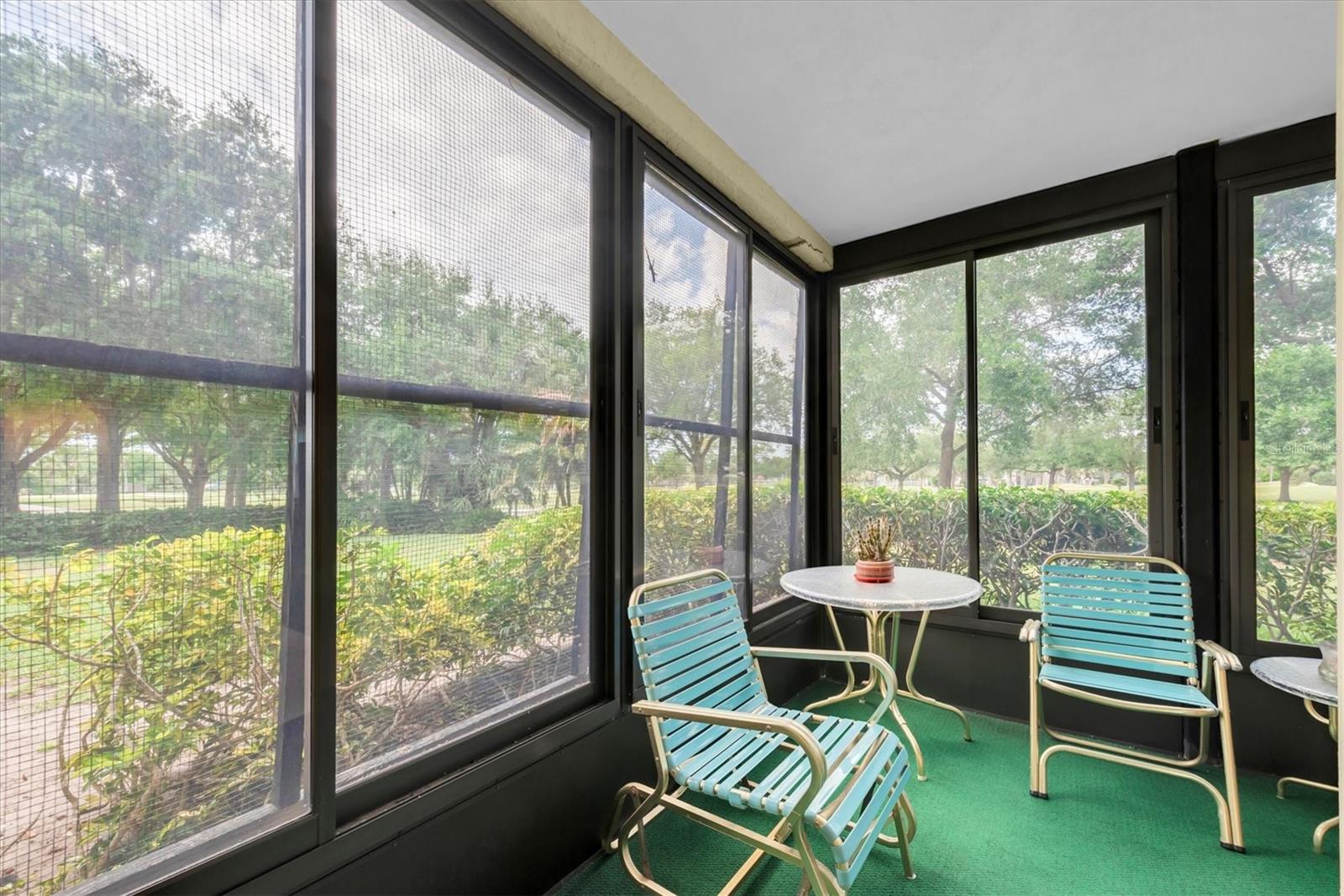 Corner area of the patio