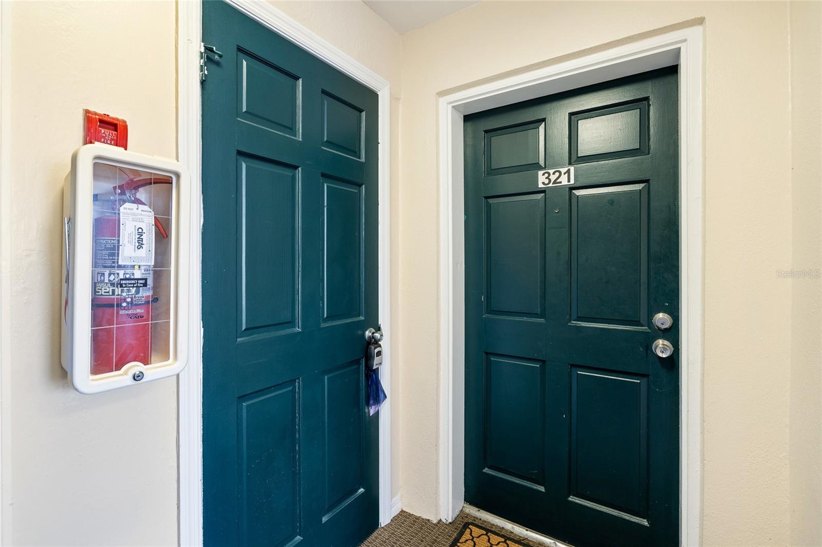 entry and storage closet to the left