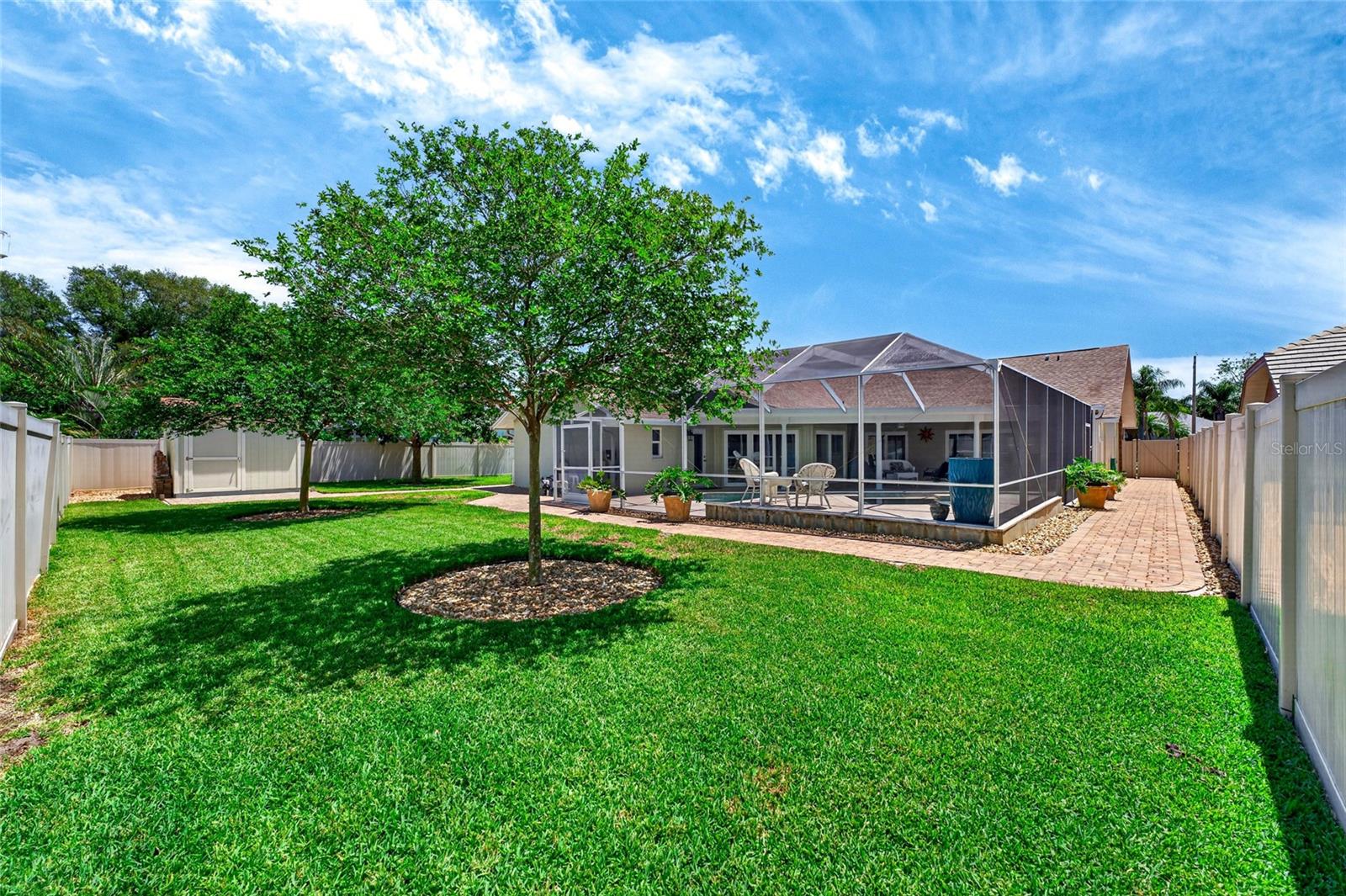 Ample backyard space