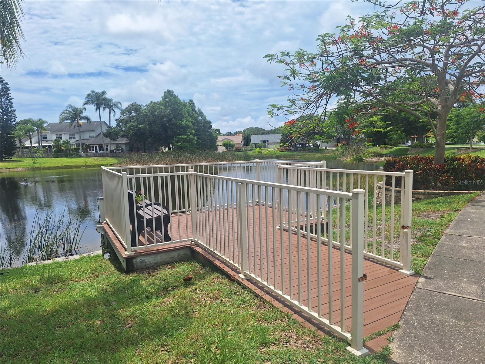Pond with dock