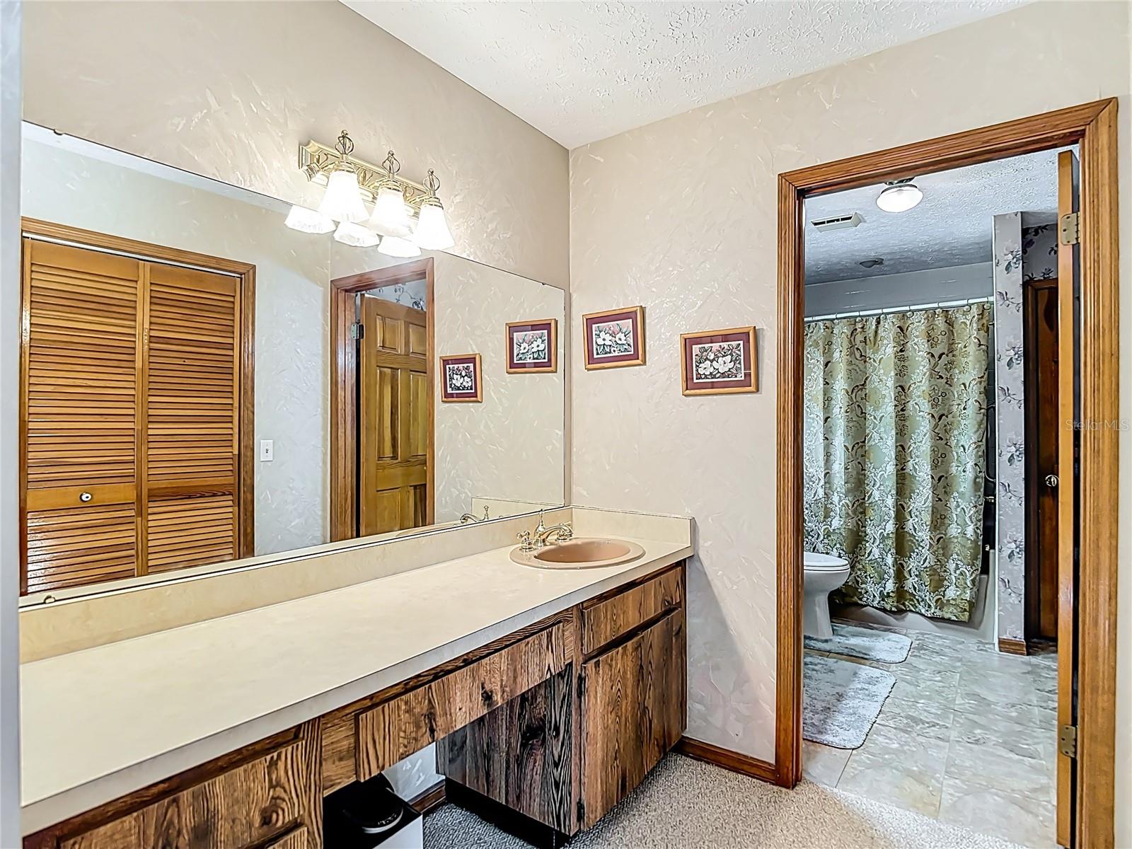 Primary bathroom with vanity area.