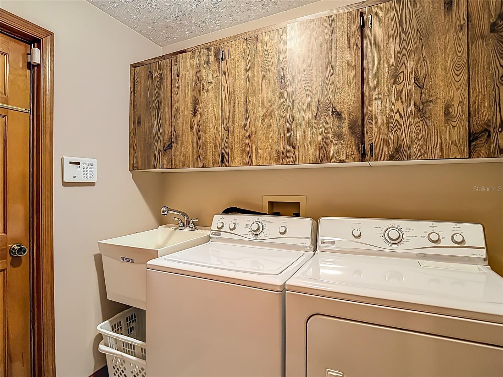 Lots of cabinets and a utility tub.