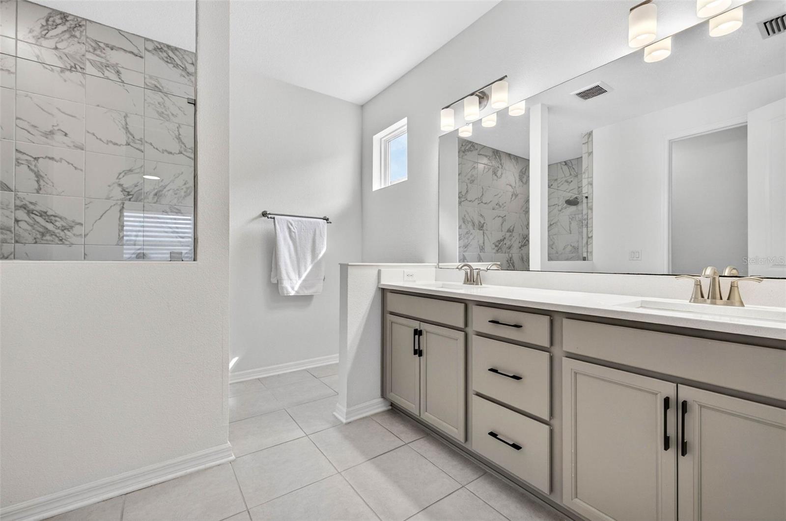 Upgraded vanity and walk in shower