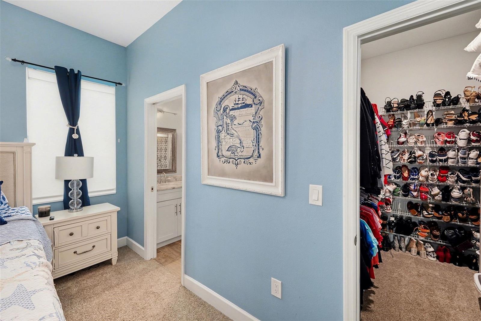 primary bedroom with view of walk in closet