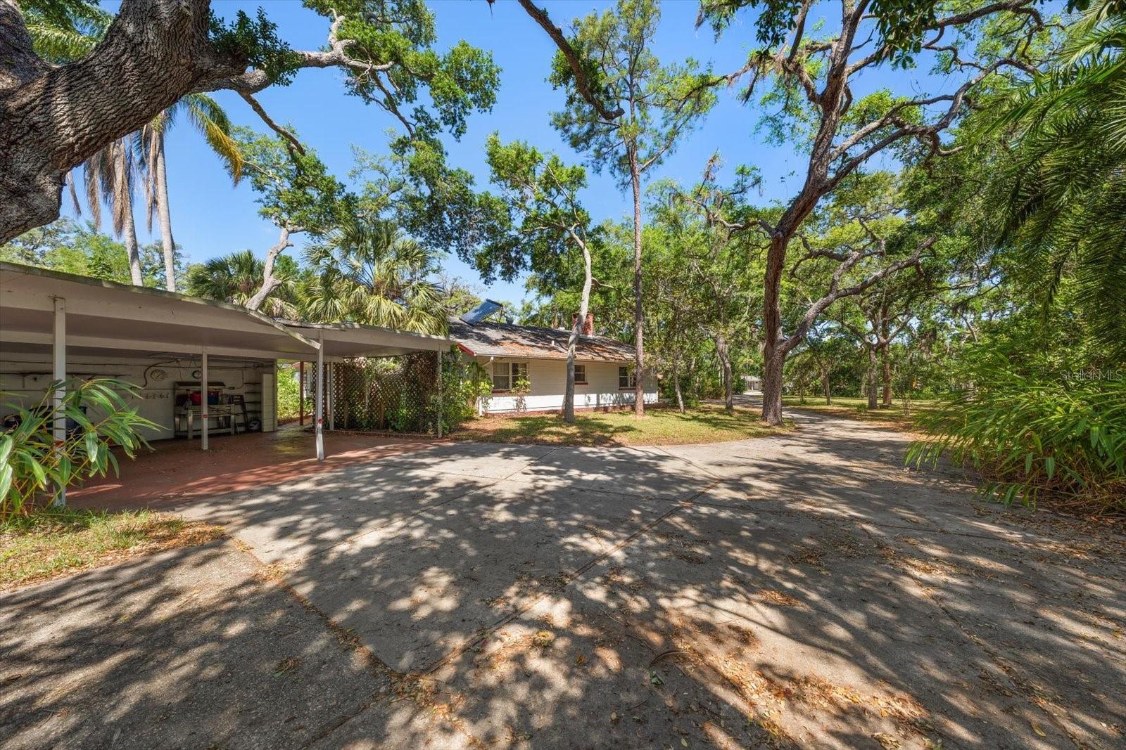 Carport, main house, and driveway