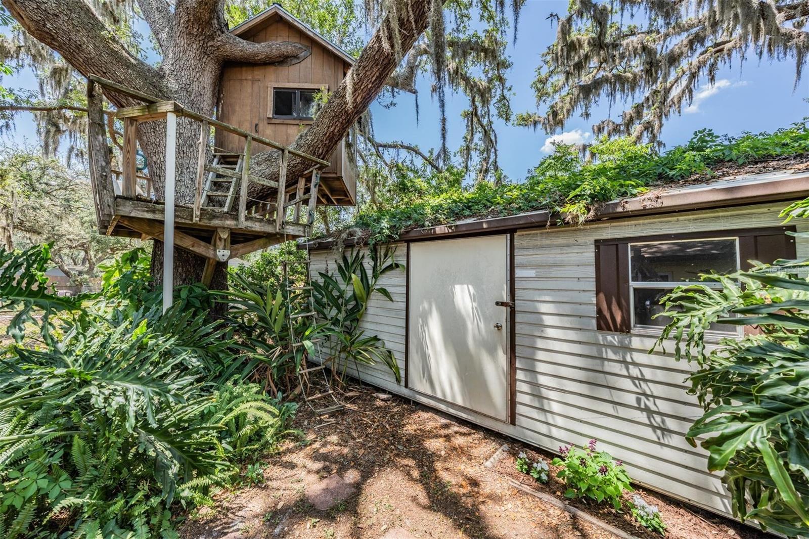 10'x18' Shed