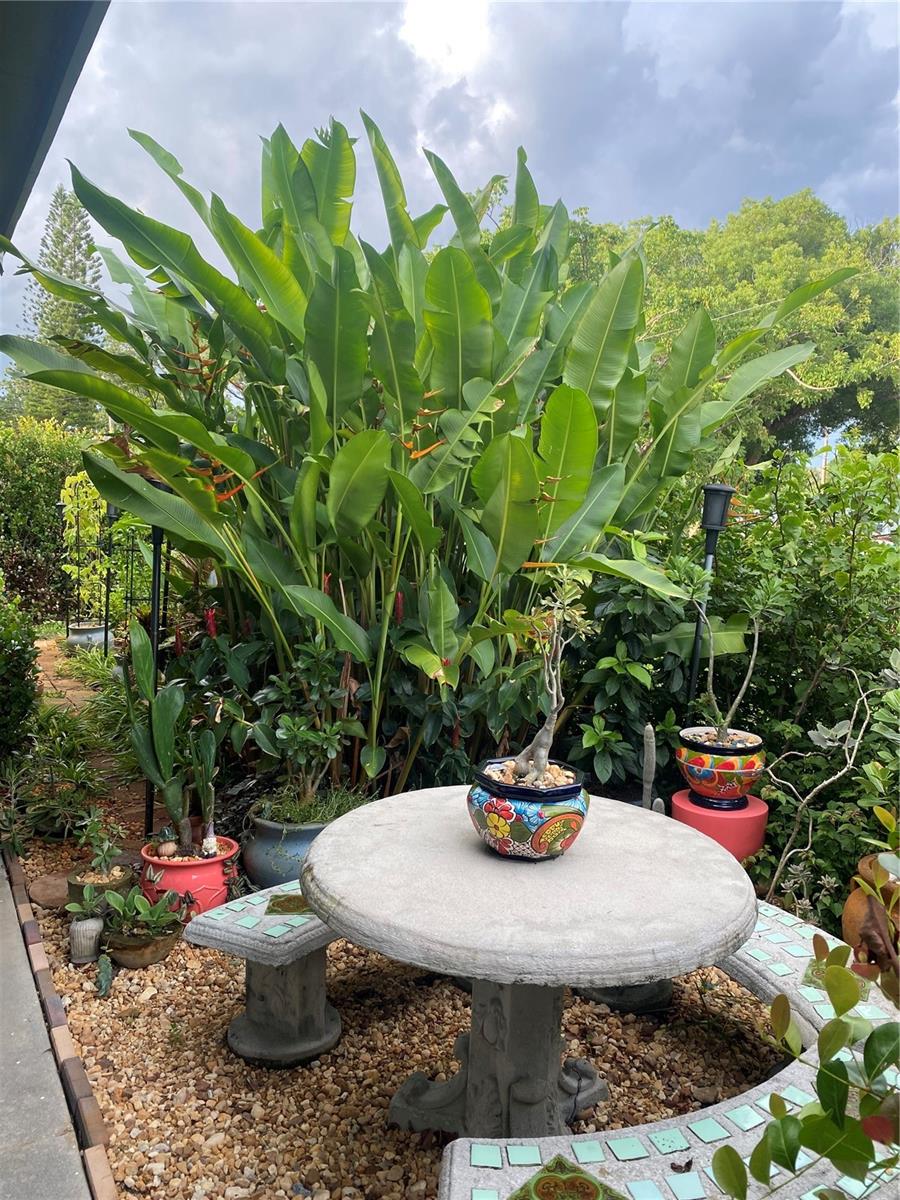 Front courtyard in Bloom