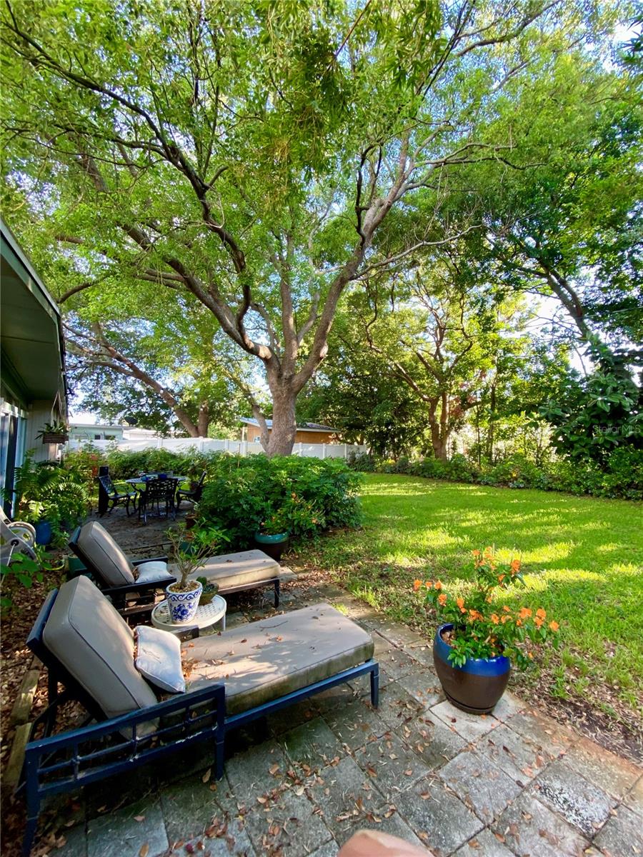 Backyard left side view